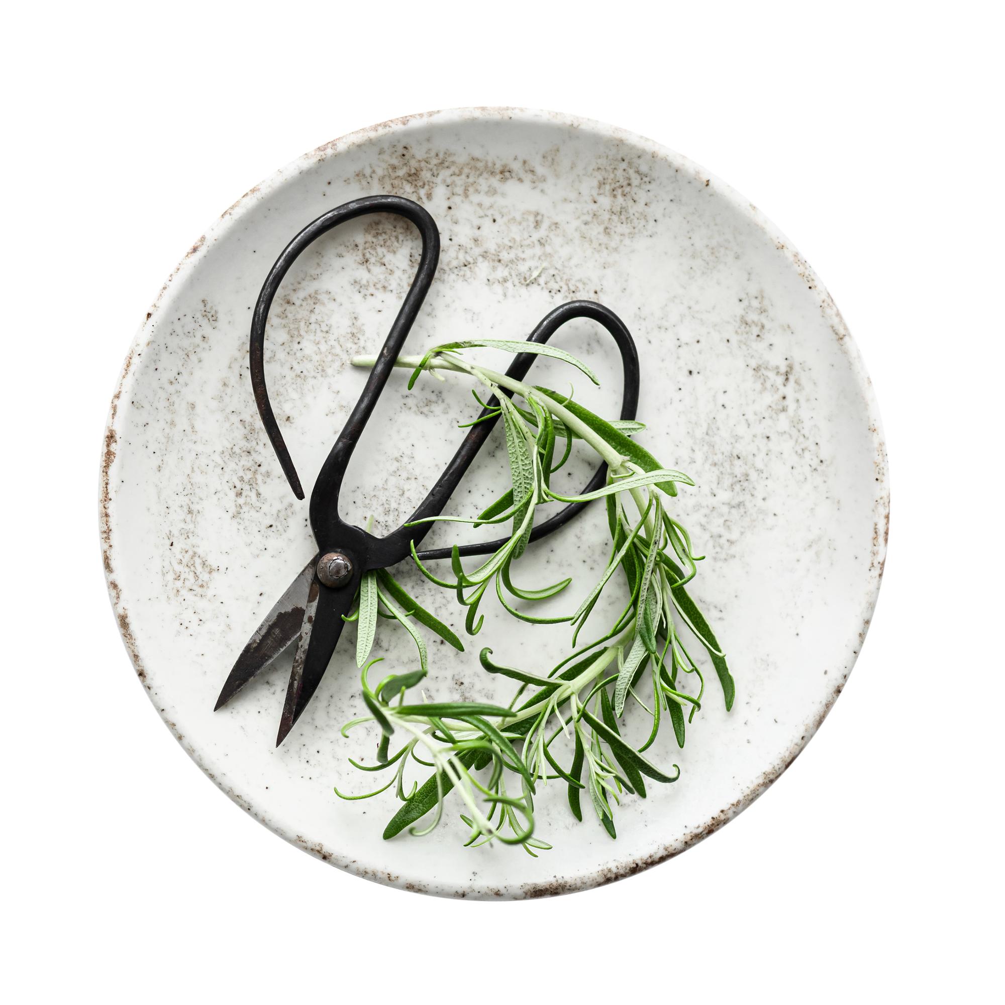 styled plated meal with herbs and citrus on a stone plate