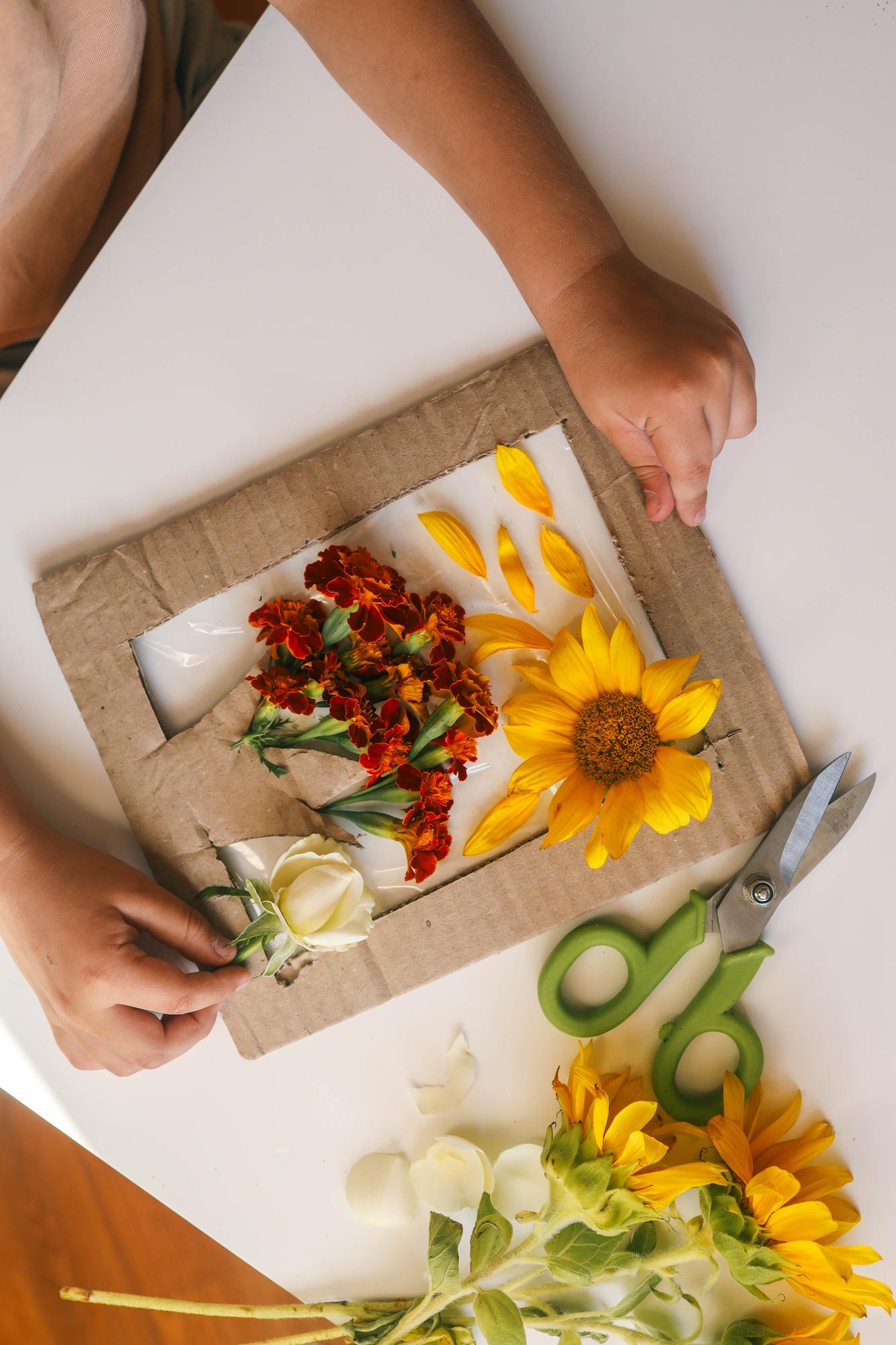 hands assembling a colorful meal kit on a wooden table